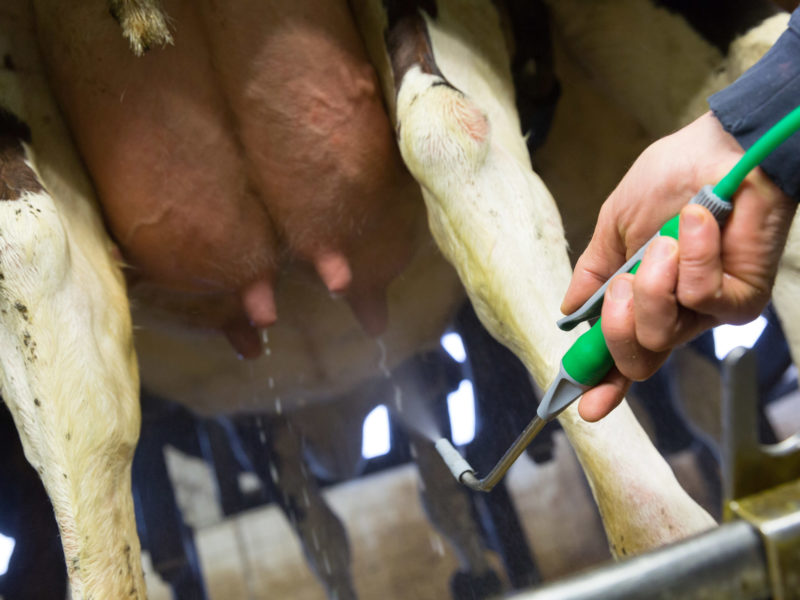 Kårtorps säteri Spensprayning