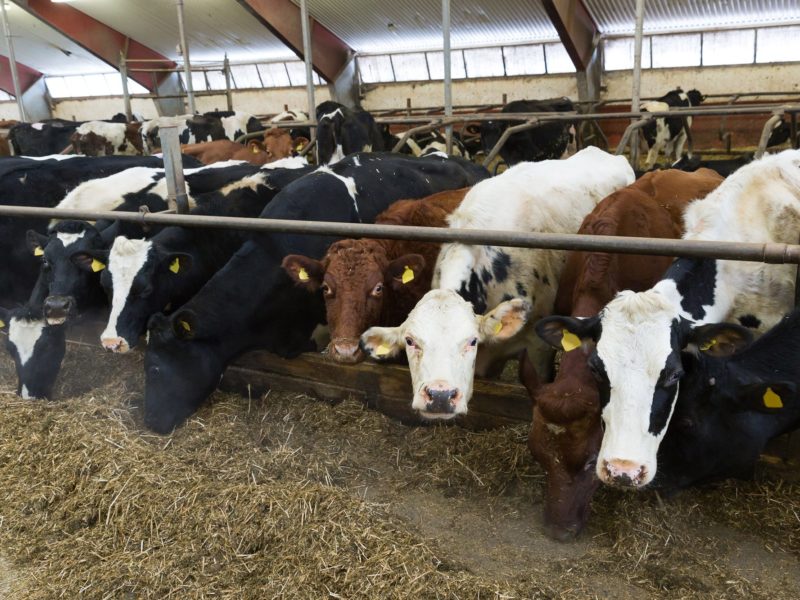 MFR_7396_redigerad MFR_7396_redigerad