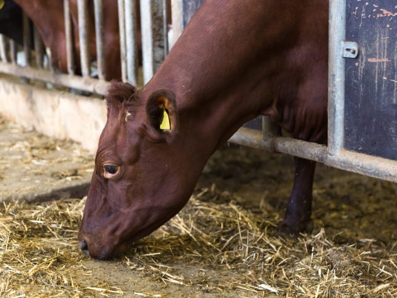 MFR_7526_redigerad MFR_7526_redigerad