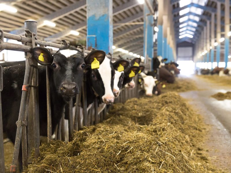 kartarpssateri_redigerad kartarpssateri_redigerad